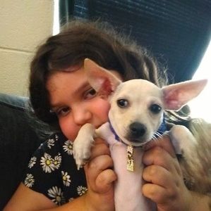 Meet your Posher, Wesley